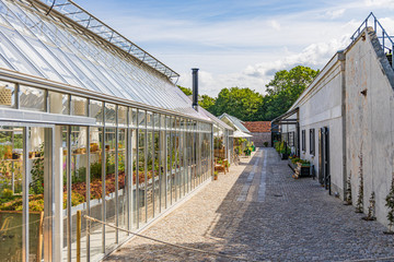 The courtyard of restaurant Noma