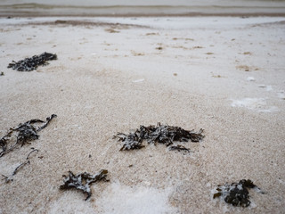 Cape Kolka beach in Latvia during winter time