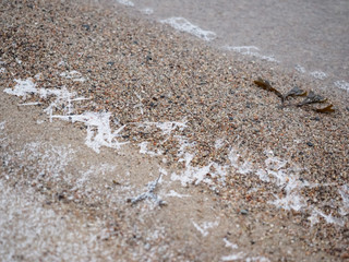 Cape Kolka beach in Latvia during winter time