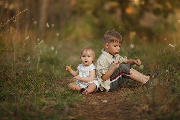 Two cute happy little kids sit back to each other in nature with flowers. The boy blows on a dandelion. The girl smiles and laughs. The concept of a happy family on holiday in nature.