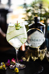 tonic gin with fresh cucumber & rosemarie spicy