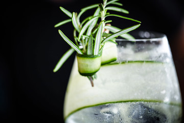 tonic gin with fresh cucumber & rosemarie spicy