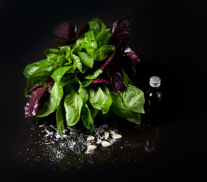 Purple and green basil with olive oil, garlic and salt