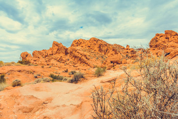 Valley of Fire State Park, Nevada, USA