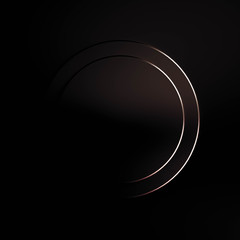 Beautiful, elegant background with a pedestal and a showcase. 3d illustration, 3d ..rendering.