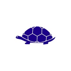 Turtle of line icon in blue color
