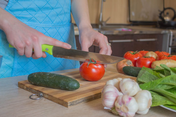 Woman hands cutting vegetables in the kitchen. Preparing dishes. Woman in kitchen preparing vegetables