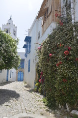 Fototapeta na wymiar Medina. Cityscape with white blue colored houses in resort town Sidi Bou Said. Arabian culture. Tunisia, North Africa. Background.