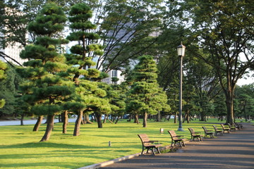 Naklejka premium 都会の公園 東京 日本