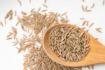 キャラウェイシード