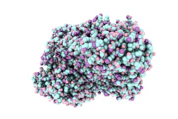 Anthrax toxin lethal factor. Space-filling molecular model of toxin produced by bacterium Bacillus anthracis. Medical background. Scientific background. 3d illustration