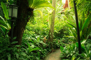 Garden with the path way