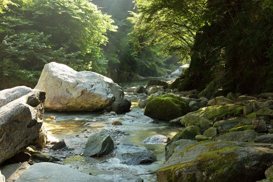 【山梨県】尾白川渓谷