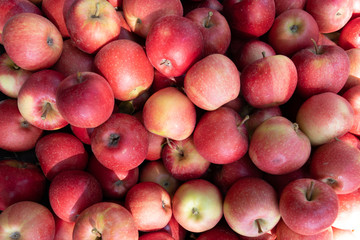 Fresh ripe red apples as background