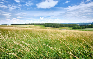 Fototapeta na wymiar Beautiful german summer landscape in the Bavarian countryside with meadows, forest und a blue sky with clouds