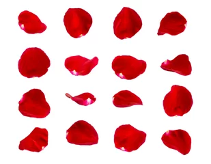 Foto op Plexiglas rode rozenblaadjes geïsoleerd © thewet