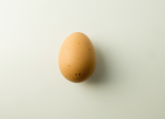 egg on white background