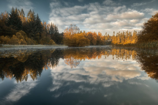 Forest reflection in a lake, Monaghan, Ireland