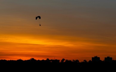 Paraglider
