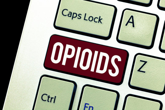 Word writing text Opioids. Business concept for Class of drugs that include the illegal heroin Opium poppy plant.