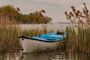 abandoned old boat in the reeds on the shore