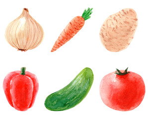 Hand painted watercolor Onion, carrot, potato, cucumber, pepper, tomato.