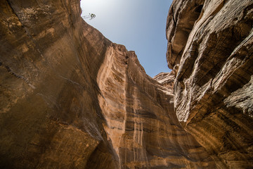 The Siq, the narrow slot-canyon that serves as the entrance passage to the hidden city of Petra, Jordan. This is an UNESCO World Heritage Site