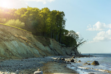 steine und grüne bäume Wald an steilküste bei lübeck ostsee, hermannshöhe