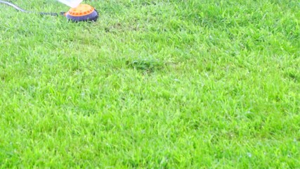  Grass lawn. Watering with sprinkling machine 