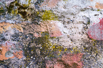 Old rustic colorful wall with moss