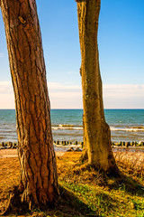 Baltic Sea in Poland with pines and dunes