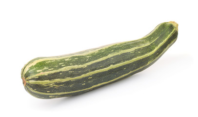 Fresh giant striped zucchini