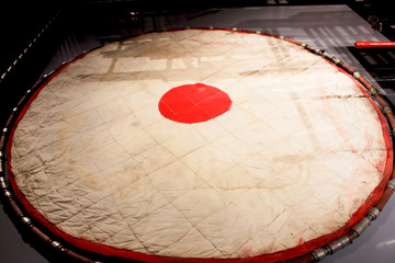 vintage firefighter safety net