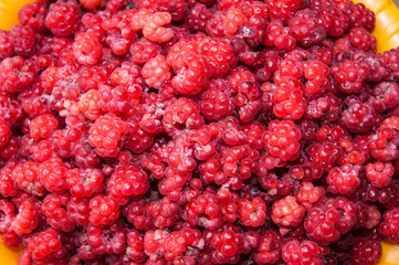 Lots of juicy raspberries close-up
