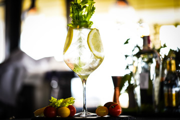 gin tonic with fresh celery & lemon