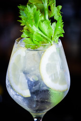 gin tonic with fresh celery & lemon