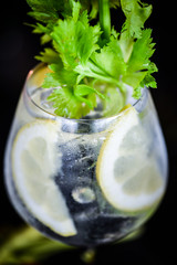 gin tonic with fresh celery & lemon