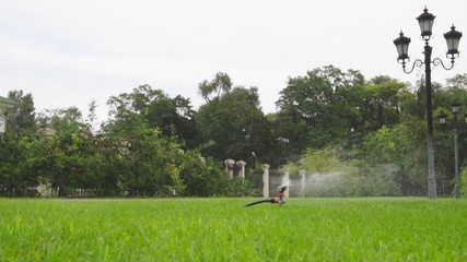  Grass lawn. Watering with sprinkling machine 