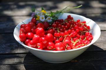 Rote Beeren, Kirschen, Johannisbeeren mit weißer Schüssel und Blumen aus dem Garten