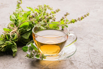 Cup of tea drink with fresh leaves of peppermint melissa gray background. Healing herbal drink....