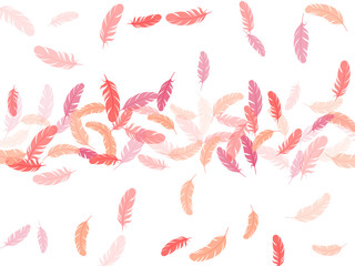 Falling feather elements soft vector design.