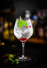 tonic gin with fresh red berries 