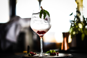 tonic gin with fresh red berries 