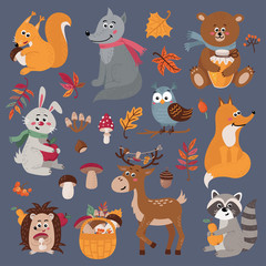 Set of cute forest animals in cartoon style