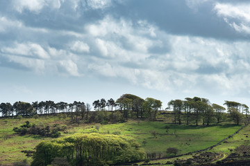 Fototapeta na wymiar Lovely Spring landscape image of view from Haytor in Dartmoor National Park in Devon England on lovely sunny Spring day