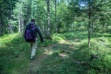 A man with a large tourist backpack traveling through the woods, ecotourism concept.