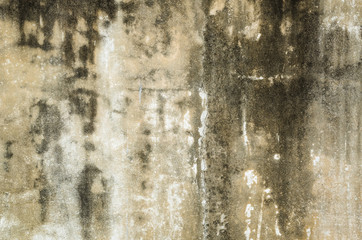 mildewed wall background