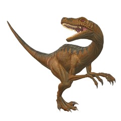 dinosaur isolated on white background