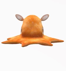 Deep sea creature illustration