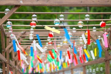closeup of clothes pegs on white background
